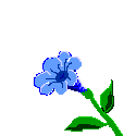 flower (188).g